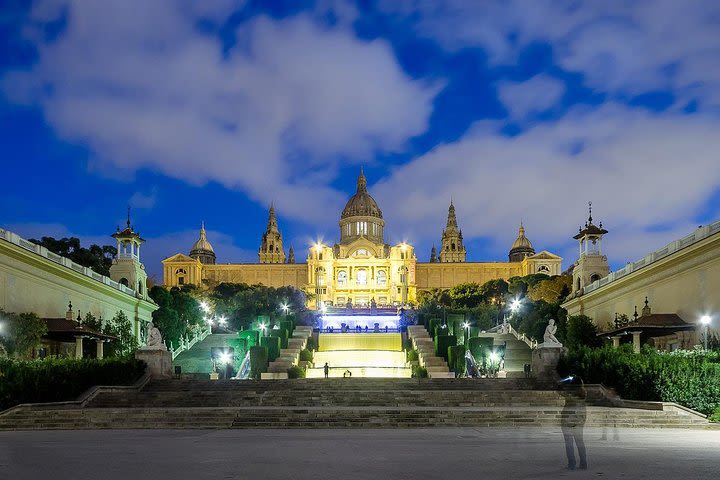 Private Sightseeing in Barcelona By Night image