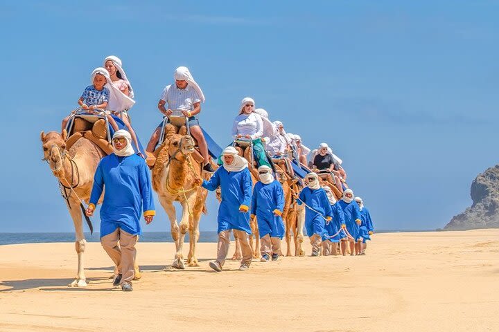 Atv, Ecofarm and Camels image