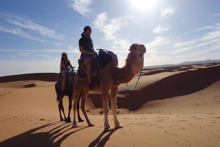 Day and Night by Camels in Erg chebbi Dunes, No Extra Fee. image