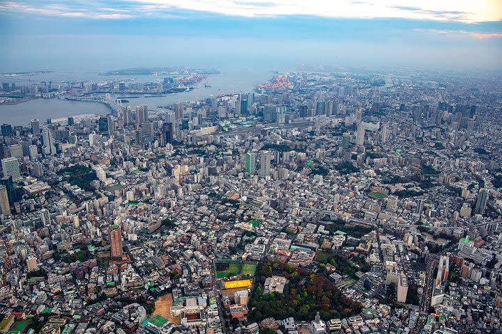 [25 Minutes] Tokyo Tour: Tokyo Skyscraper Tour image