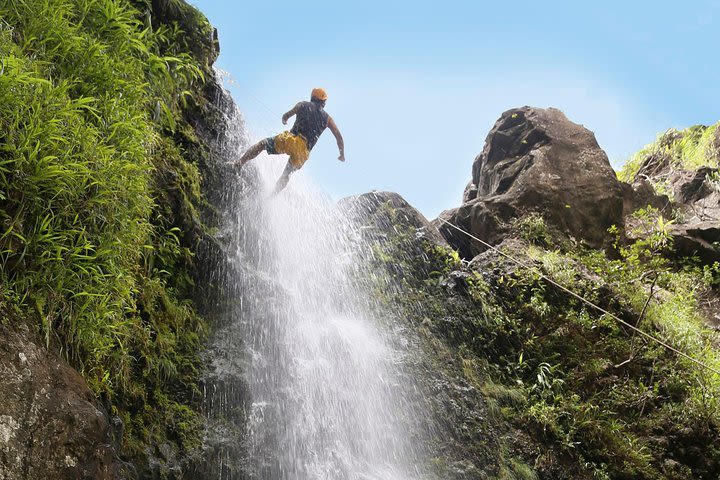 Rappel Maui Waterfalls and Rainforest Cliffs image