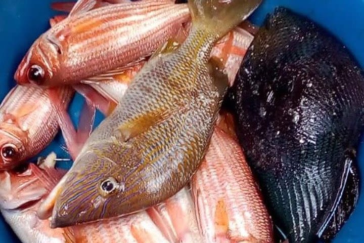 Traditional fishing at San Blas image