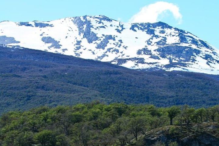 Ushuaia Shore Excursion: Private Tour of Tierra del Fuego National Park image