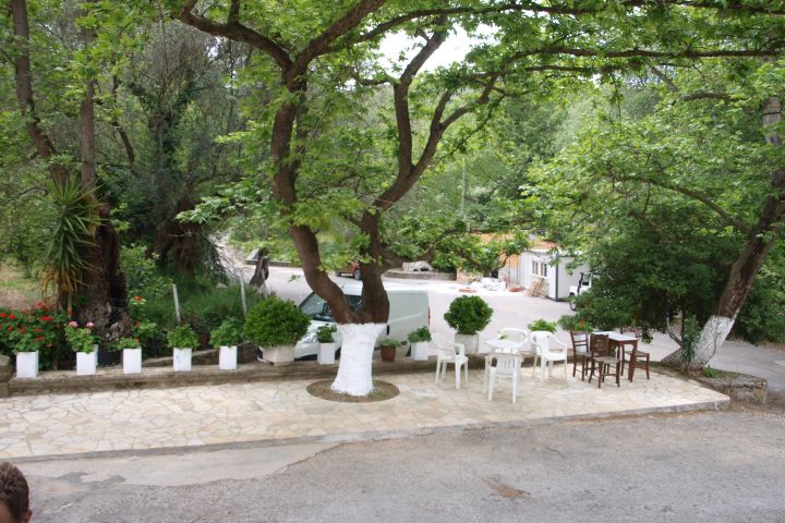 Premium Safari Tour–The Secrets of Cretan Wine & Olive Oil image