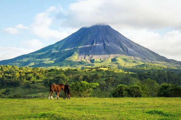 Volcano Foothills Horseback Riding image