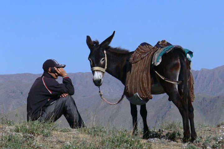 Nuratau home stay observe and live the Uzbek rural life image