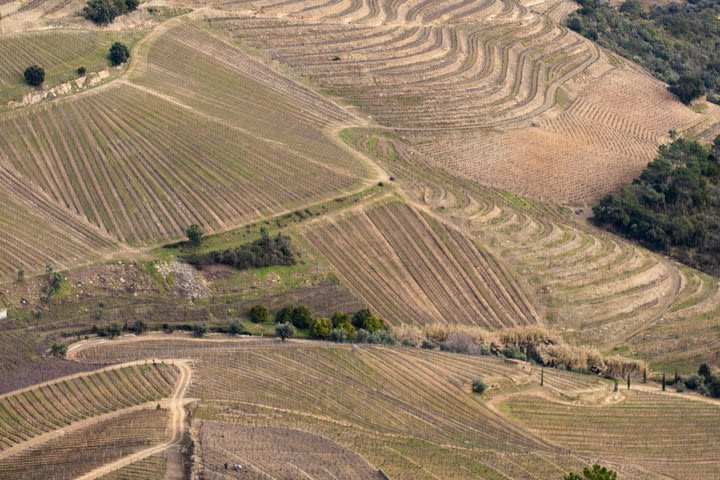 Douro Valley Private Tour with Sommelier image