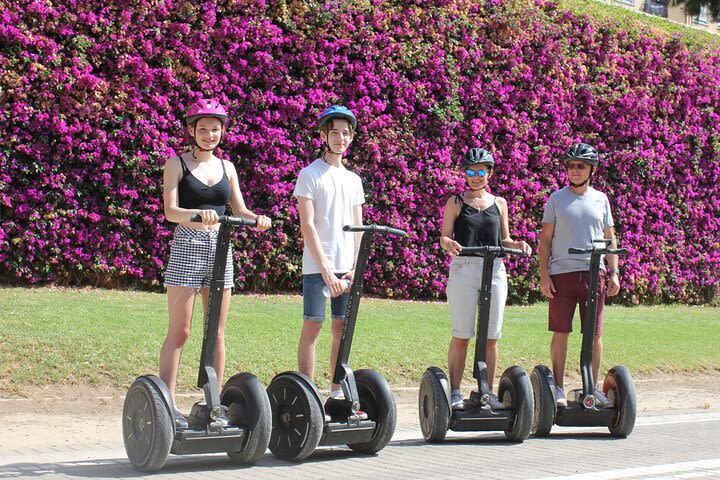 Valencia 3 Parks Private Segway Tour. image