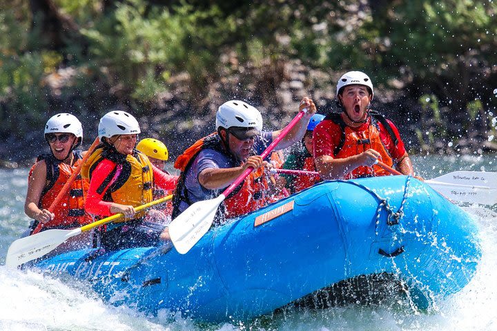 18 Mile Yellowstone Whitewater Trip image