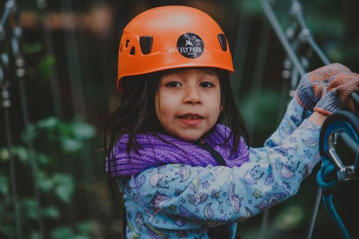 Fly Park Iguazú Jungle Adventure image