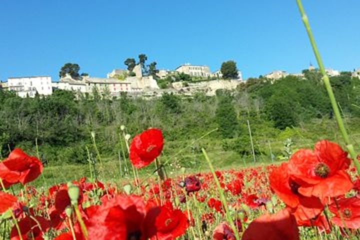 Half day private tour for 4-8 person image