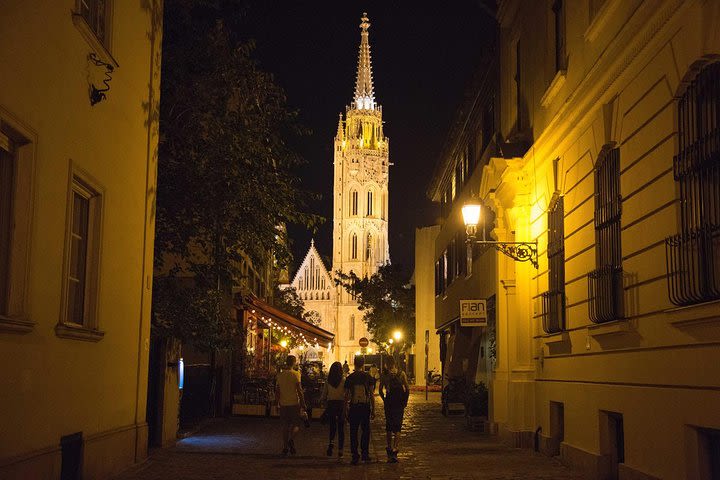 Fools and Kings - Buda Castle District Tour image