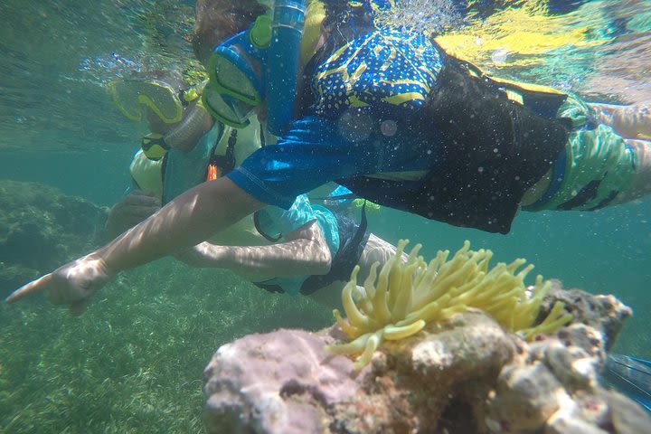 Snorkeling and Kayak Mini Eco-Adventure image