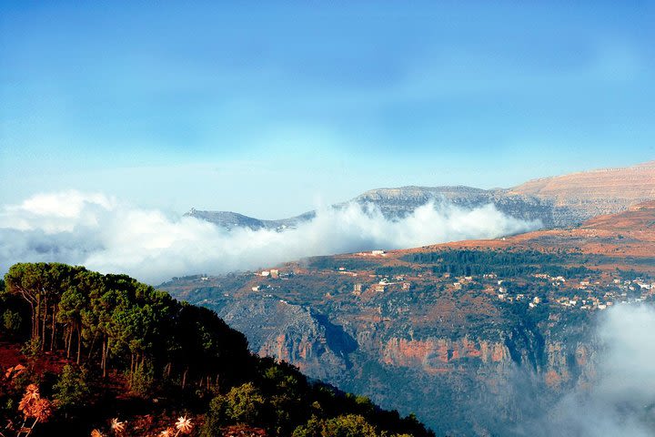 Small-Group Tour Qadisha Valley, Becharre and Cedars of God from Beirut image