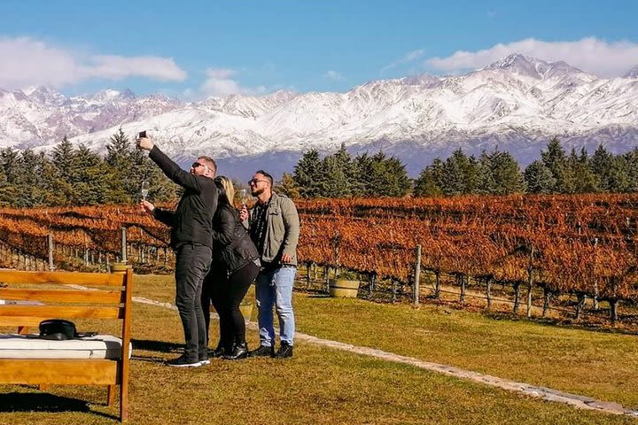 Knowing the wines of the new world. Tasting and lunch in Uco Valley image