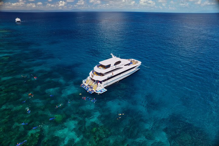 Cairns Super Saver: Reef Cruise, Daintree & Kuranda Rail/Skyrail image