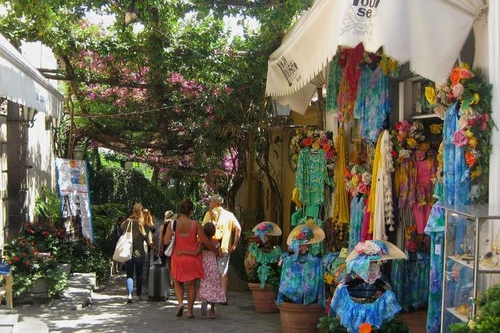 Positano, Amalfi and Ravello from Sorrento with assistant on board image