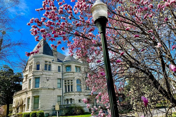 Old Louisville 60-Minute Walking Tour image