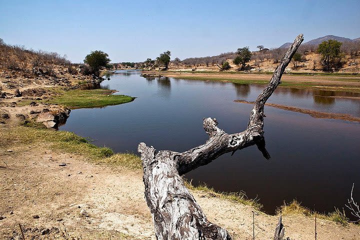 2days 1night to Ruaha National Park image