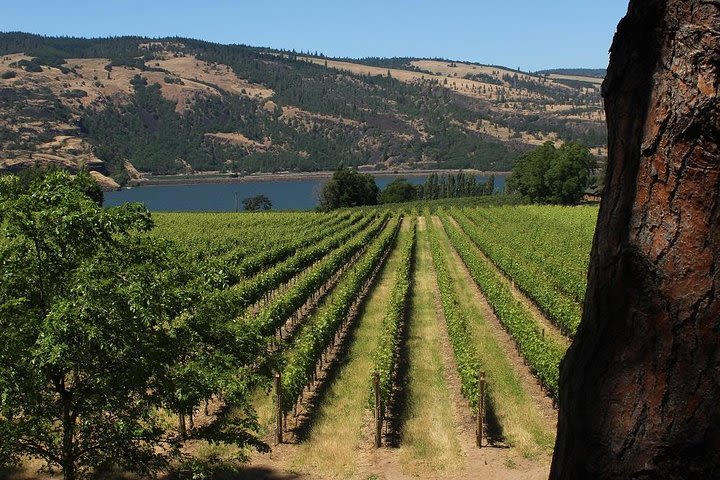 Full Day Columbia River Gorge Waterfalls and Wine Tasting Combo image