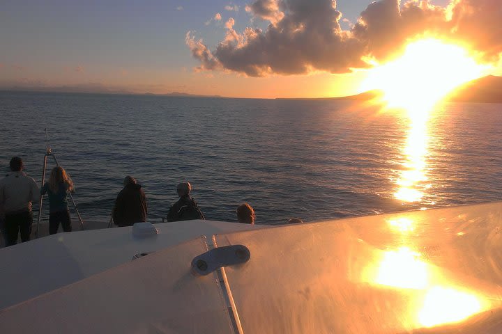 Sunset Chill Out Cruise of Lanzarote  image