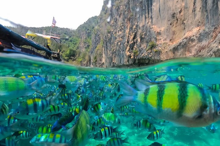 Premium Phi Phi, Bamboo Islands by Speedboat image