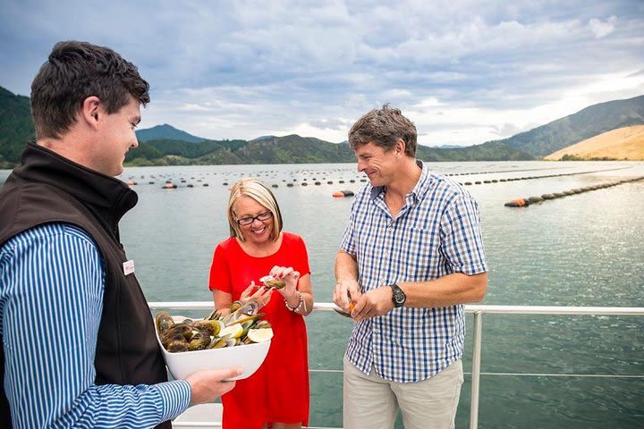 Marlborough Sounds Greenshell Mussel Tasting Cruise from Havelock image