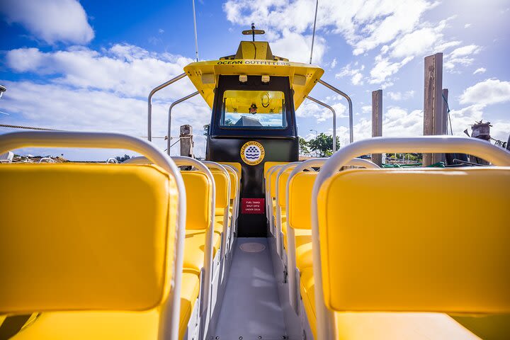 1.5-Hour Guided Marine Life Boat Tour in Oahu image