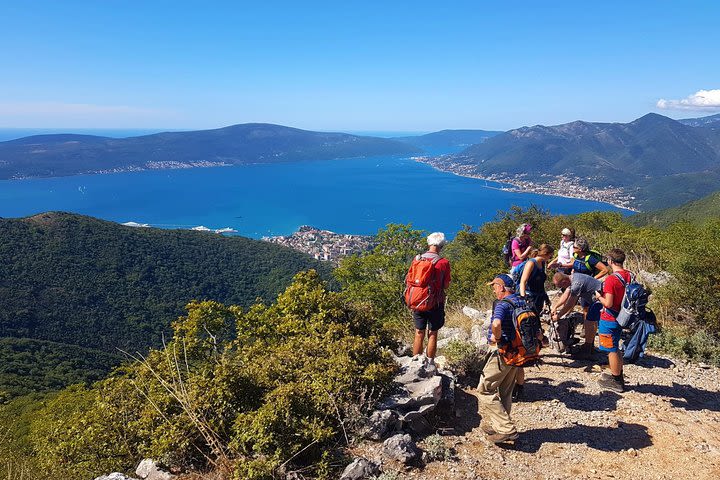 Hiking Vrmac peninsula with panoramic view on Kotor bay image