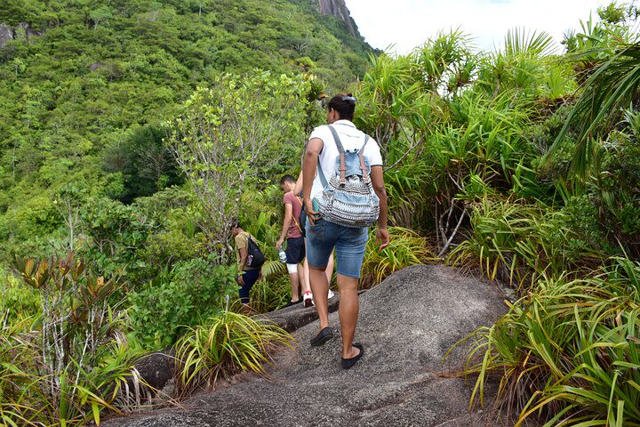 Nature trail - Trois Freres (Mahe) image