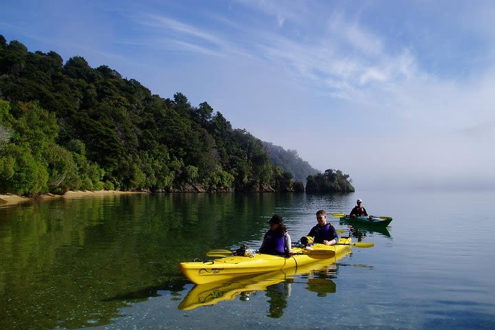 Full day Guided Sea Kayak Tour from Picton image