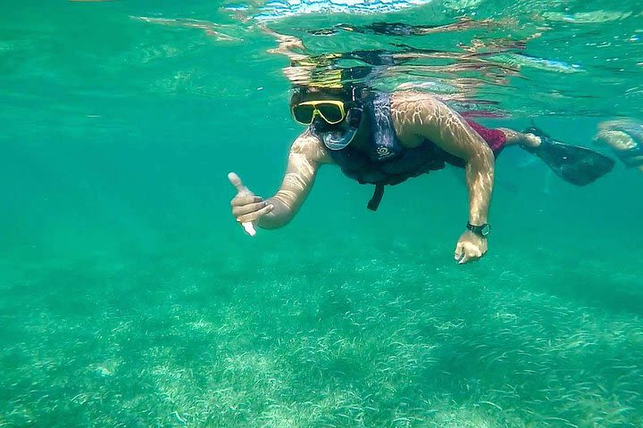 Basic Snorkel Experience Underwater, Easy to snorkel! image