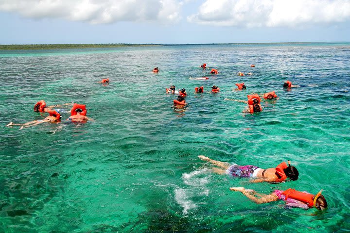 Catalina Island Tour with Snorkelling, Lunch and Dance image