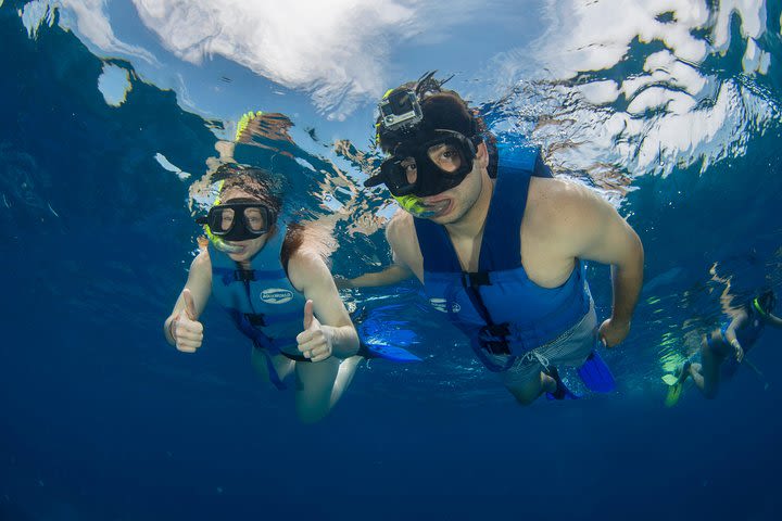 Cancun Underwater Museum Snorkel Tour image