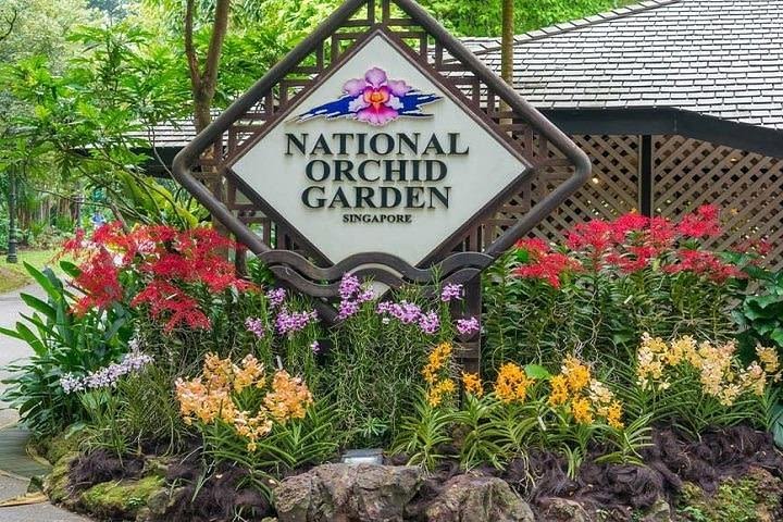 National Orchid Garden Entry Ticket image