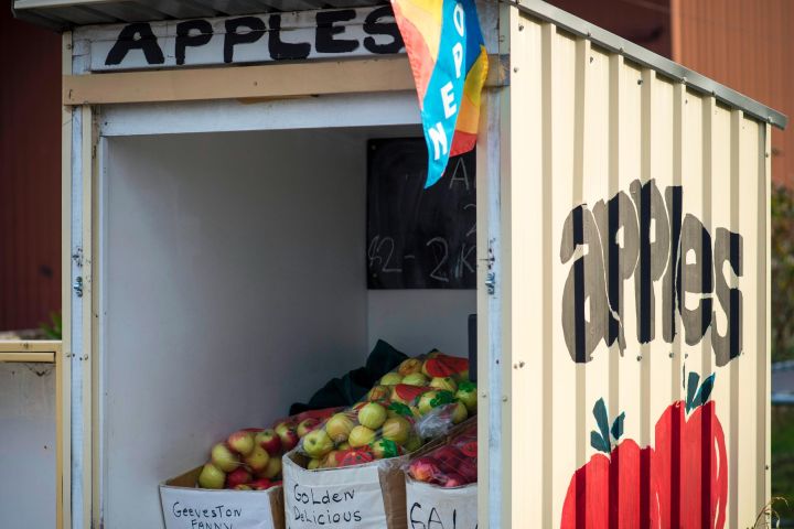 Tasmanian Nature and Tasting Adventure image