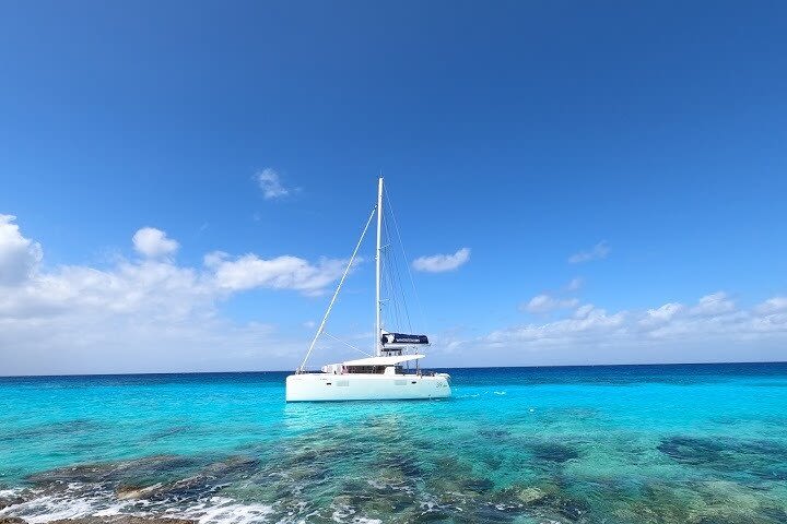 39 ft Catamaran image