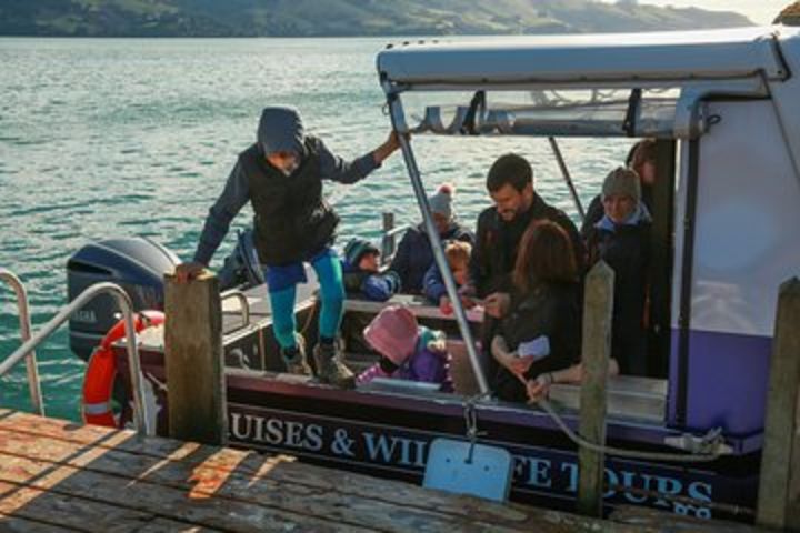 Otago Harbour Ferry image