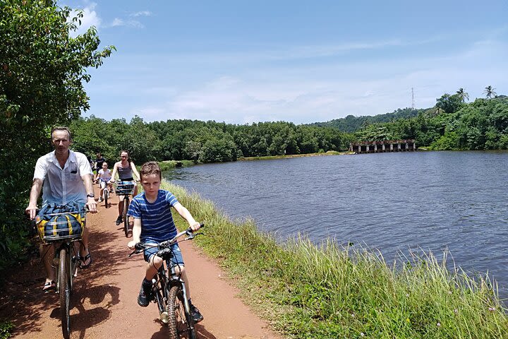Half-Day Lagoon and Village Cycling Tour in Galle image