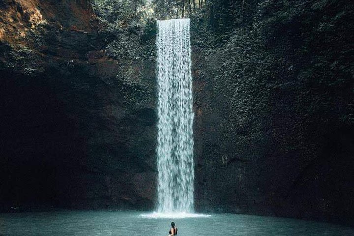 Bali Highlight Waterfall Full-day Tour image