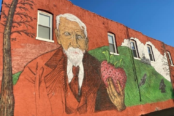 Strawberry Hill and Downtown KCK Hike image