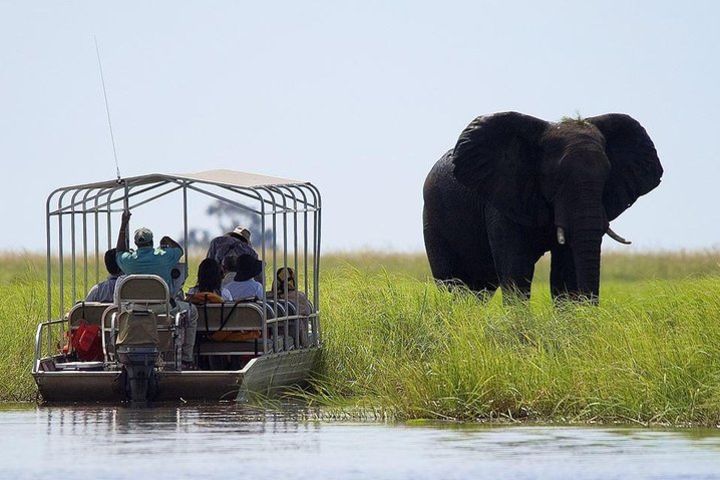 Guided Tour of Victoria Falls & Sunset Cruise Combo image