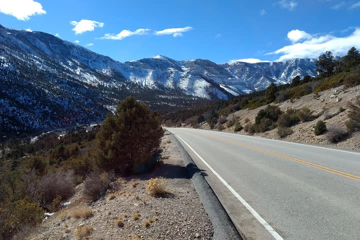 Red Rock Canyon & Mount Charleston Photo Expedition from Las Vegas image