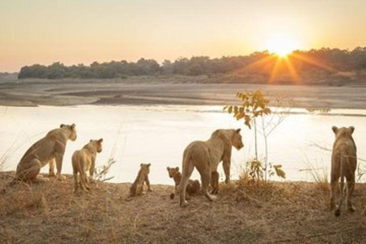 6-Day Budget Lodge Safari in Tanzania image