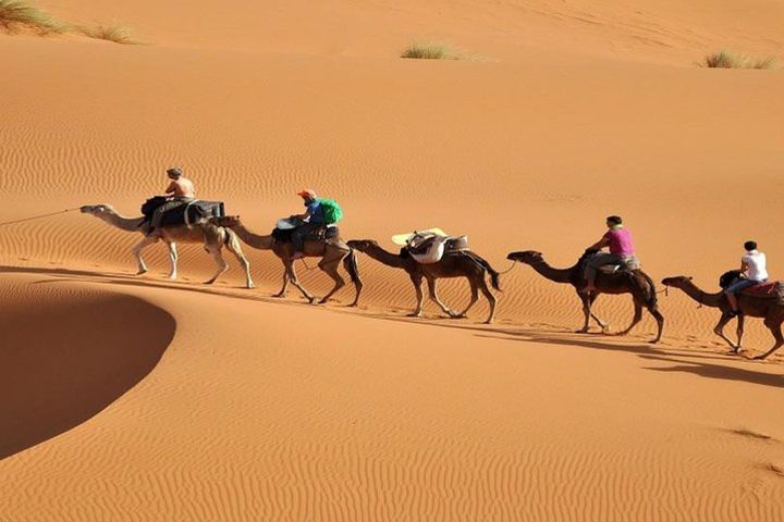 3 days tour from Fez to Marrakech through merzouga desert and camel ride image