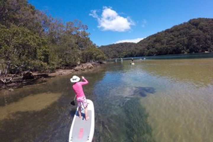 Ku-ring-gai Chase National Park Stand Up Paddleboard Tour image