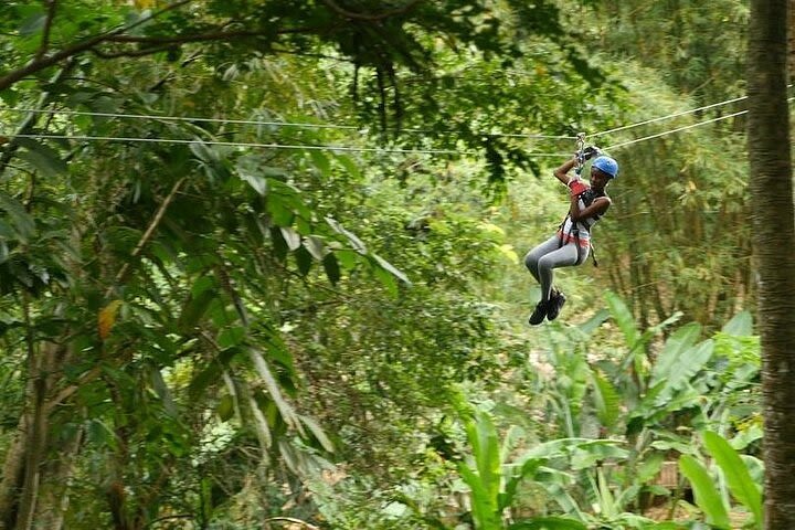 Treetop Adventure Park Canopy Tour image