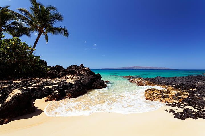 Private South & West Maui Beaches Tour image