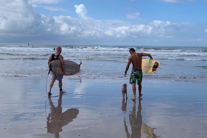 Surf Lessons image