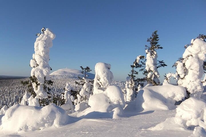 Transfer Pyhä/Luosto-Rovaniemi or Rovaniemi-Pyhä/Luosto image